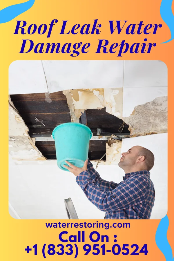 Roof Leak Water Damage Repair in Franklintown, PA