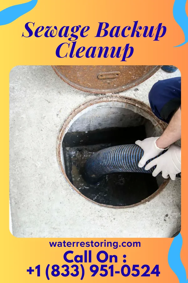 Sewage Backup Cleanup in Franklintown, PA